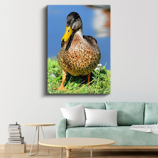 Ördek Portresi - Sarı Gagalı Benekli Ördek Kanvas Tablo