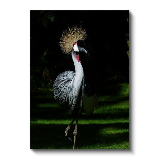 Taçlı Turna - Zarif Duruşlu Egzotik Kuş Kanvas Tablo