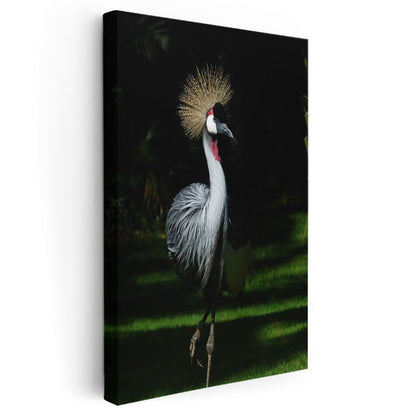 Taçlı Turna - Zarif Duruşlu Egzotik Kuş Kanvas Tablo