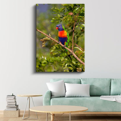 Renkli Papağan - Canlı Tüyleriyle Tropikal Güzellik Kanvas Tablo