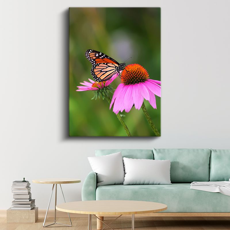 Kral Kelebeği - Pembe Çiçek Üzerinde Turuncu Kanatlar Kanvas Tablo