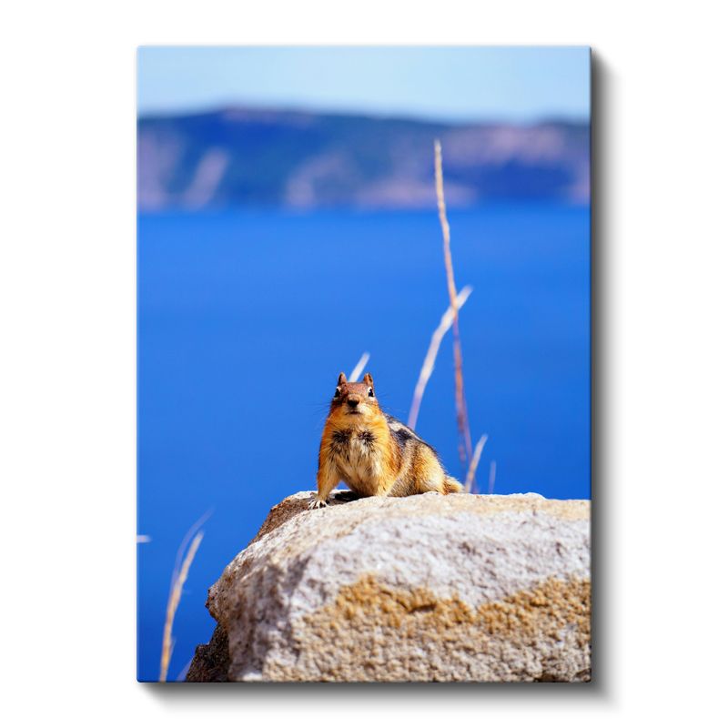 Sincap - Mavi Manzarada Sevimli Kemirgen Kanvas Tablo