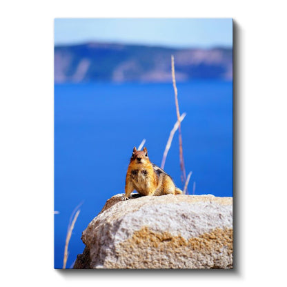 Sincap - Mavi Manzarada Sevimli Kemirgen Kanvas Tablo