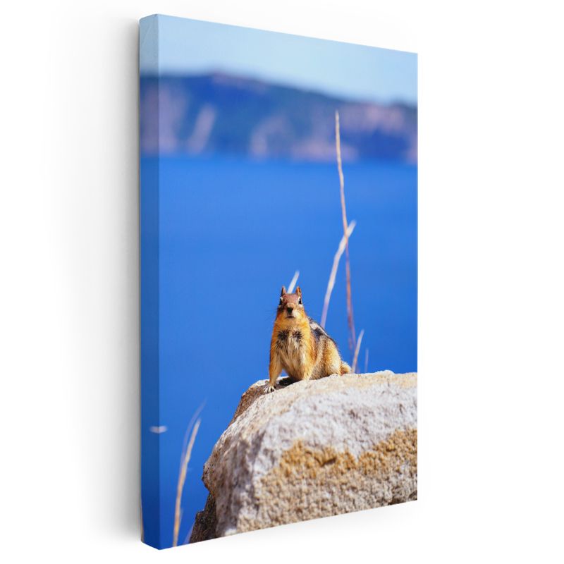 Sincap - Mavi Manzarada Sevimli Kemirgen Kanvas Tablo