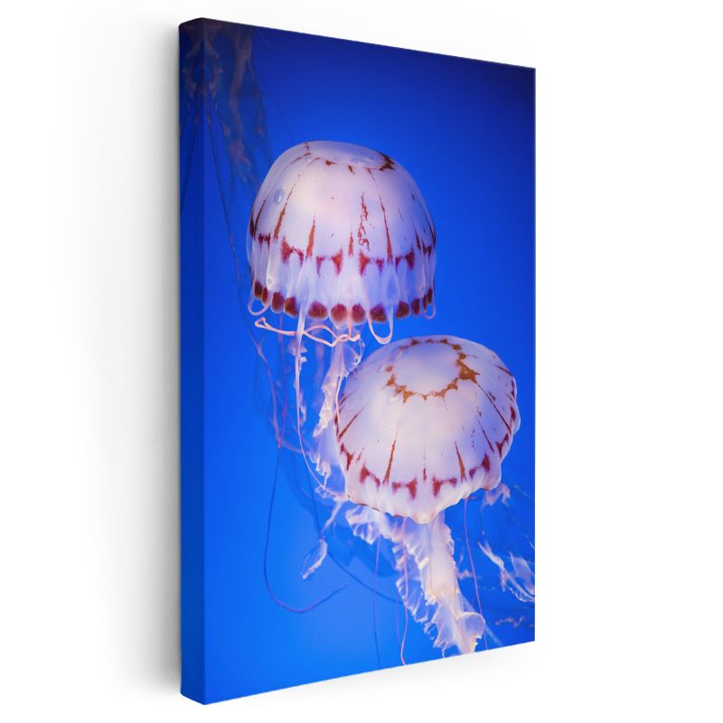 Denizanaları - Derin Mavide Dans Eden İkili Kanvas Tablo