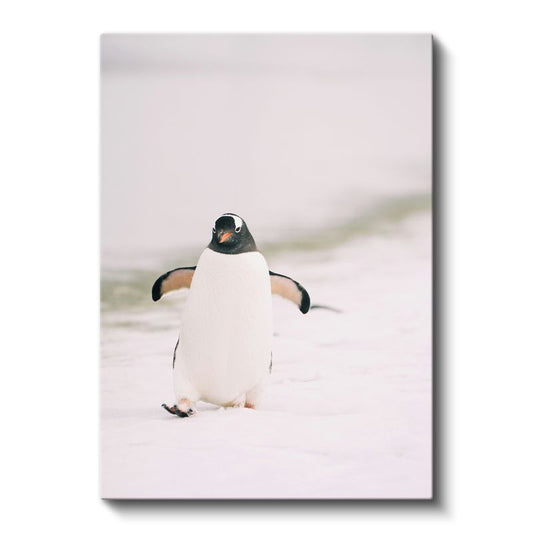 Penguen - Beyaz Zeminde Sevimli Yürüyüş Kanvas Tablo