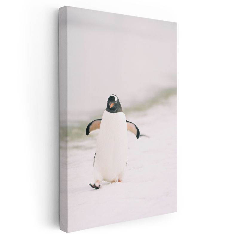 Penguen - Beyaz Zeminde Sevimli Yürüyüş Kanvas Tablo