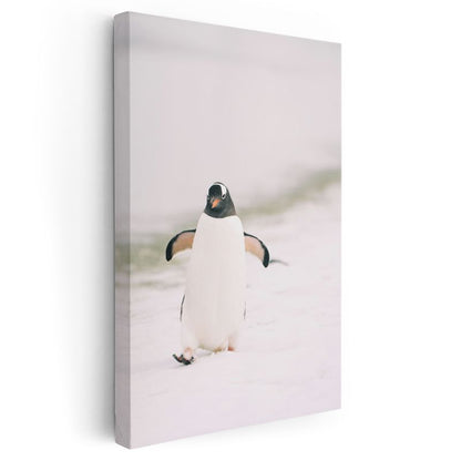 Penguen - Beyaz Zeminde Sevimli Yürüyüş Kanvas Tablo