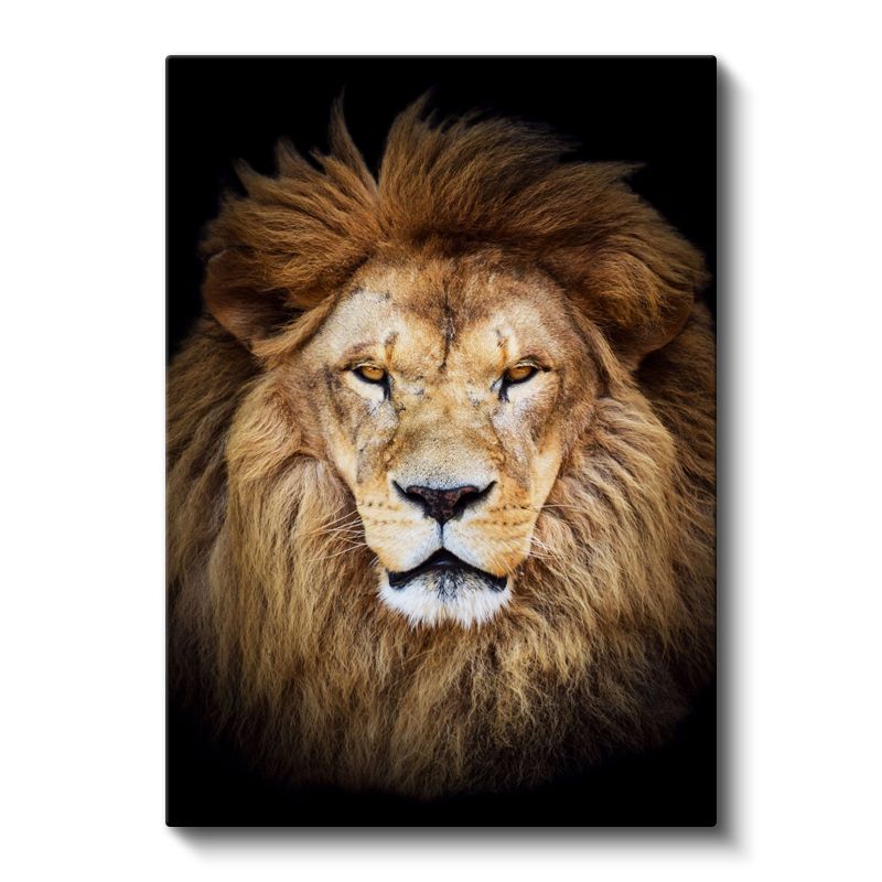 Aslan Portresi - Heybetli Yeleli Ormanlar Kralı Kanvas Tablo