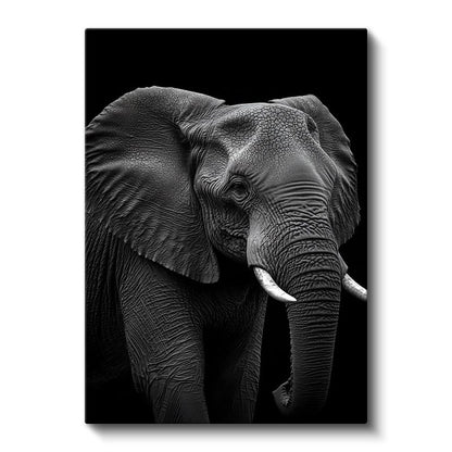 Asil Fil - Siyah Beyaz Detaylı Portre Kanvas Tablo