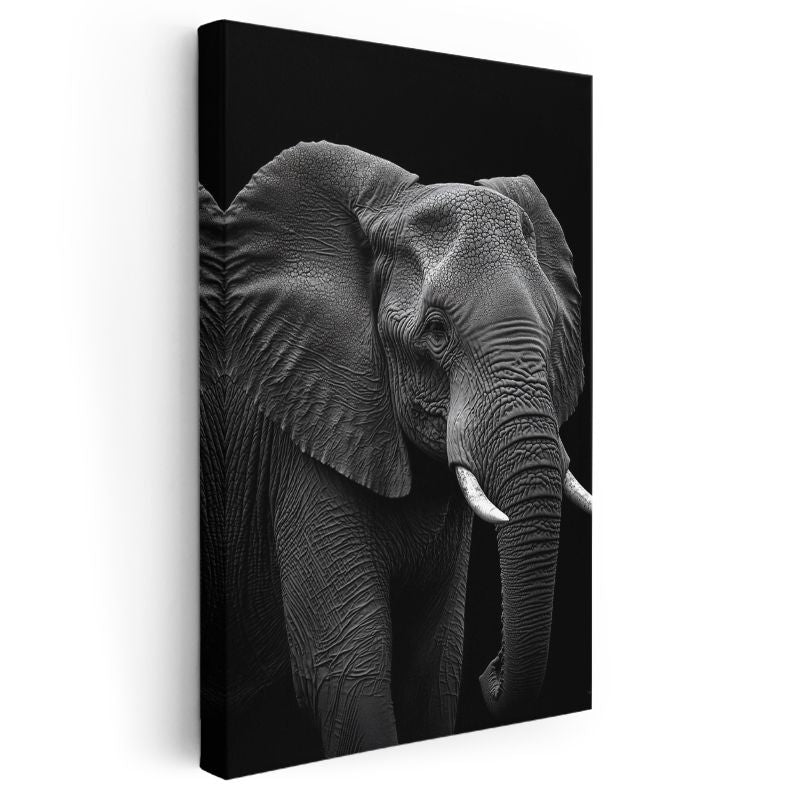Asil Fil - Siyah Beyaz Detaylı Portre Kanvas Tablo