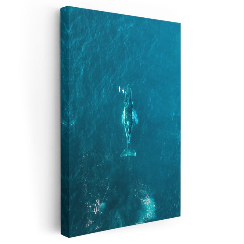 Okyanus Balinası - Mavi Derinliklerde Yüzen Devasa Memeli Kanvas Tablo