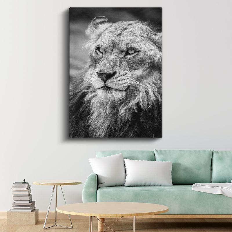 Aslan Bakışı - Siyah Beyaz Yeleli Kral Portresi Kanvas Tablo