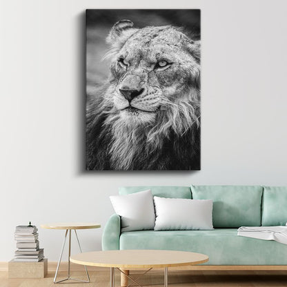 Aslan Bakışı - Siyah Beyaz Yeleli Kral Portresi Kanvas Tablo