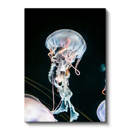 Şeffaf Denizanası - Derin Sularda Dans Eden Narin Canlı Kanvas Tablo