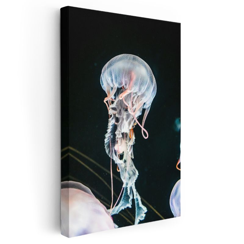 Şeffaf Denizanası - Derin Sularda Dans Eden Narin Canlı Kanvas Tablo