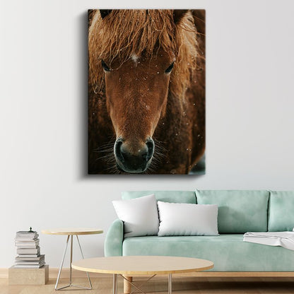 At Portresi - Kahverengi Yeleli Yakın Çekim Kanvas Tablo