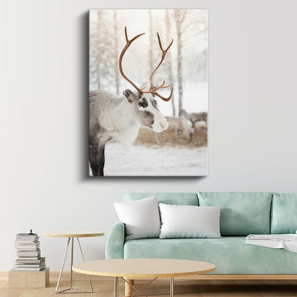 Ren Geyiği - Karlı Manzarada Heybetli Boynuzlar Kanvas Tablo