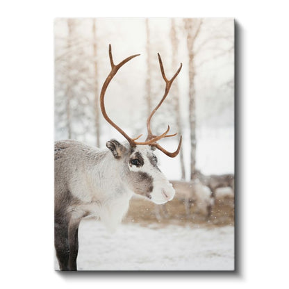Ren Geyiği - Karlı Manzarada Heybetli Boynuzlar Kanvas Tablo