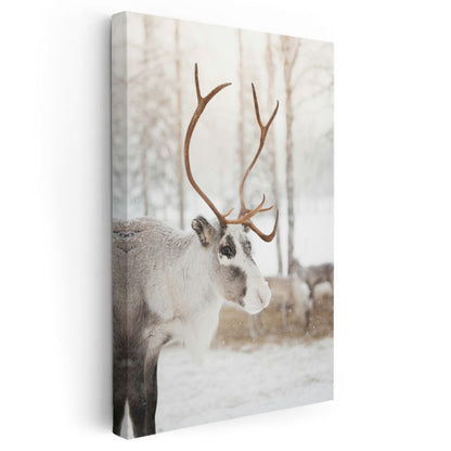 Ren Geyiği - Karlı Manzarada Heybetli Boynuzlar Kanvas Tablo
