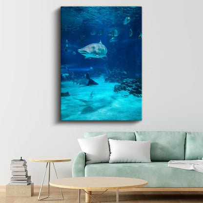 Köpekbalığı - Derin Mavi Sularda Yüzen Yırtıcı Kanvas Tablo