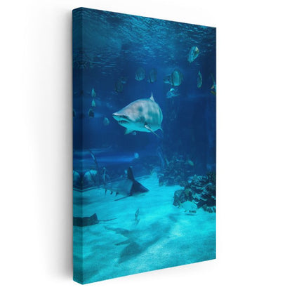 Köpekbalığı - Derin Mavi Sularda Yüzen Yırtıcı Kanvas Tablo
