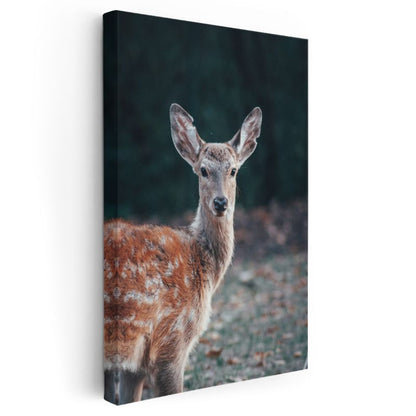 Orman Geyiği - Benekli Tüyleriyle Zarif Duruş Kanvas Tablo