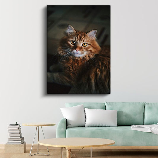 Kahverengi Kedi - Uzun Tüylü Bakışları Etkileyen Kanvas Tablo