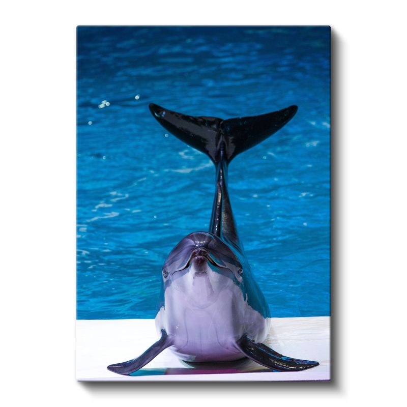 Yunus - Mavi Suda Gülümseyen Deniz Memelisi Kanvas Tablo