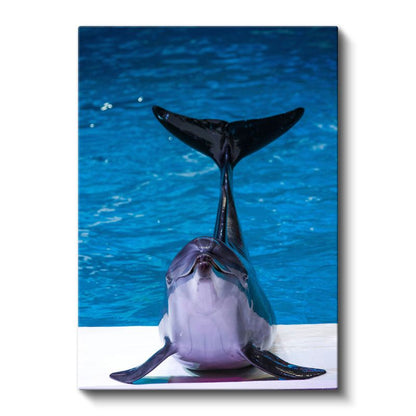 Yunus - Mavi Suda Gülümseyen Deniz Memelisi Kanvas Tablo