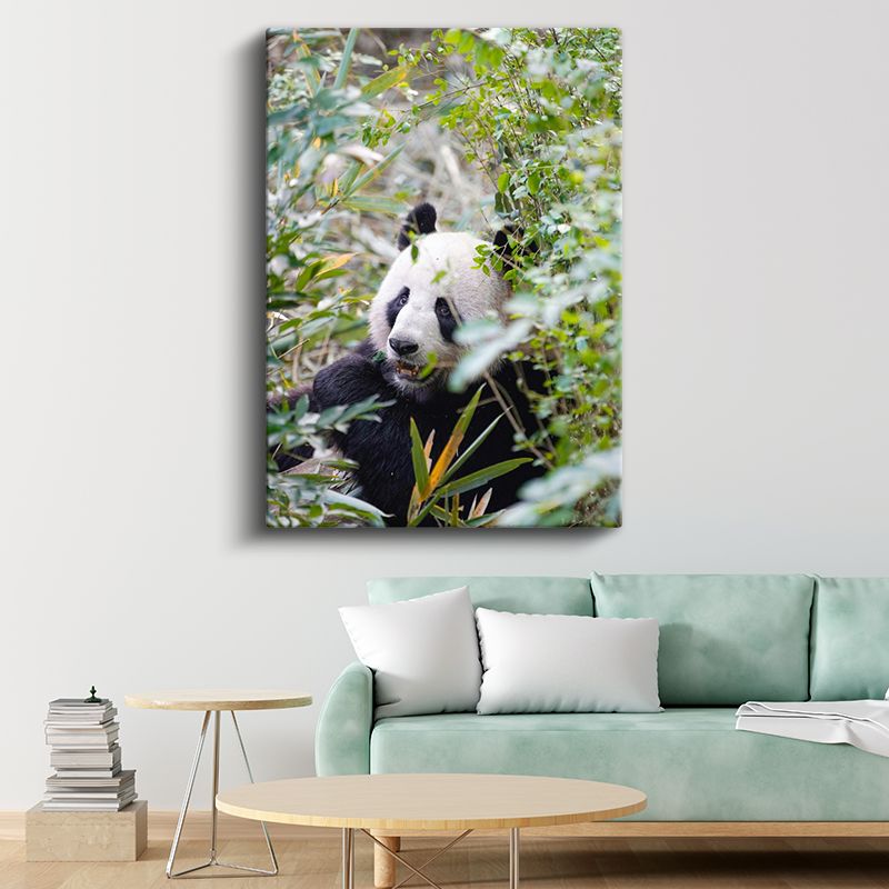 Bambu Pandası - Yeşillikler Arasında Yemek Molası Kanvas Tablo