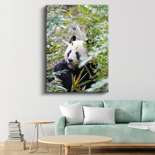 Bambu Pandası - Yeşillikler Arasında Yemek Molası Kanvas Tablo
