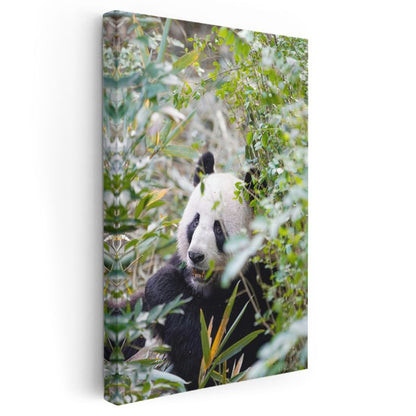 Bambu Pandası - Yeşillikler Arasında Yemek Molası Kanvas Tablo