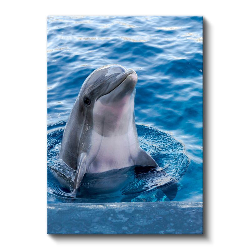 Yunus Portresi - Mavi Suda Gülümseyen Zeki Memeli Kanvas Tablo