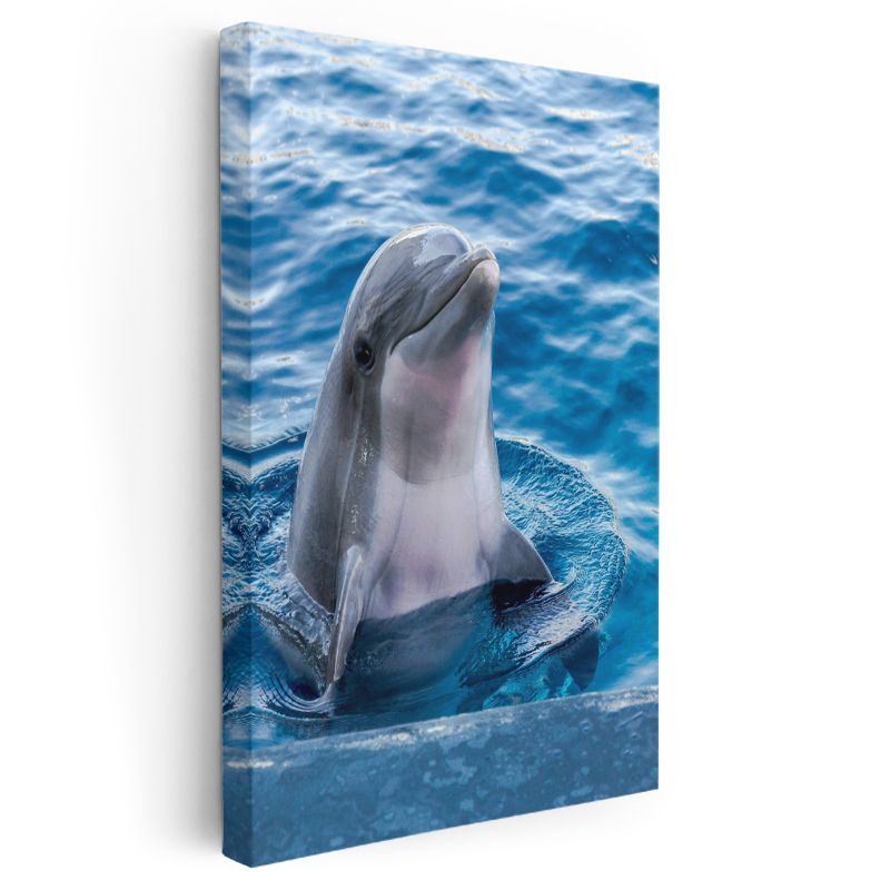 Yunus Portresi - Mavi Suda Gülümseyen Zeki Memeli Kanvas Tablo