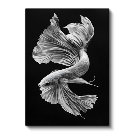 Zarif Beta Balığı - Siyah Zeminde Beyaz Tüllü Yüzgeçler Kanvas Tablo