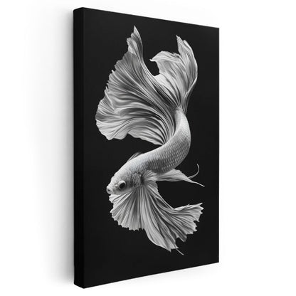 Zarif Beta Balığı - Siyah Zeminde Beyaz Tüllü Yüzgeçler Kanvas Tablo