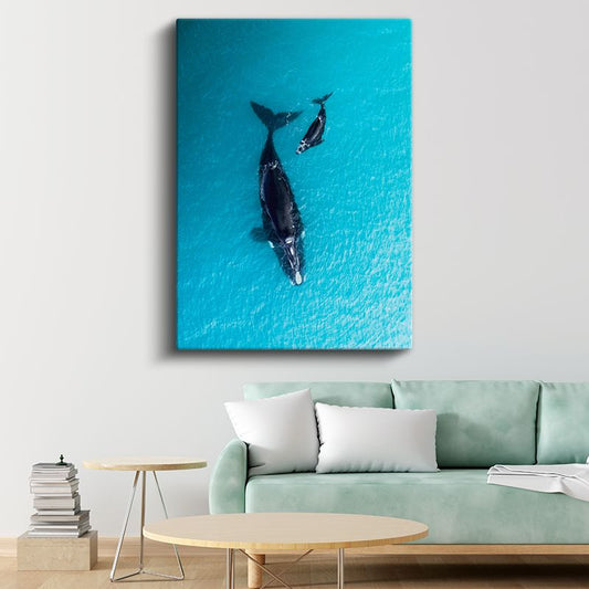 Okyanus Balinaları - Turkuaz Sularda Anne Yavru İkilisi Kanvas Tablo