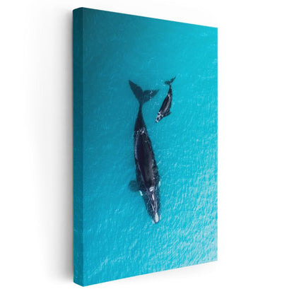 Okyanus Balinaları - Turkuaz Sularda Anne Yavru İkilisi Kanvas Tablo