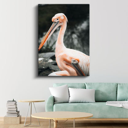 Pembe Pelikanlar - Zarif Duruşlu Uzun Gagalı Kuşlar Kanvas Tablo
