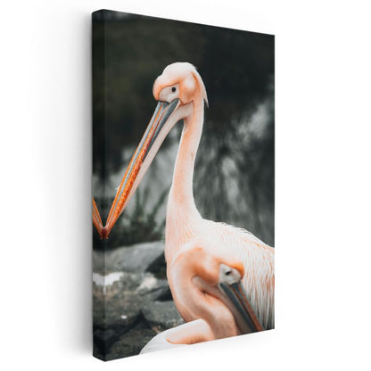 Pembe Pelikanlar - Zarif Duruşlu Uzun Gagalı Kuşlar Kanvas Tablo