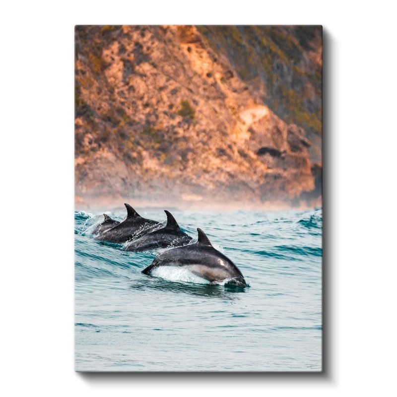 Yunus Sürüsü - Turkuaz Sularda Sıçrayan Neşeli Grup Kanvas Tablo