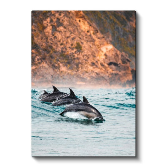 Yunus Sürüsü - Turkuaz Sularda Sıçrayan Neşeli Grup Kanvas Tablo