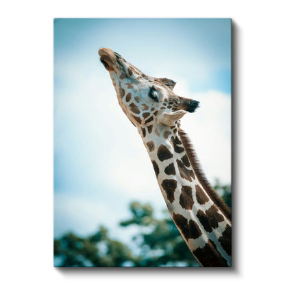 Zürafa Portresi - Gökyüzüne Uzanan Benekli Boyun Kanvas Tablo