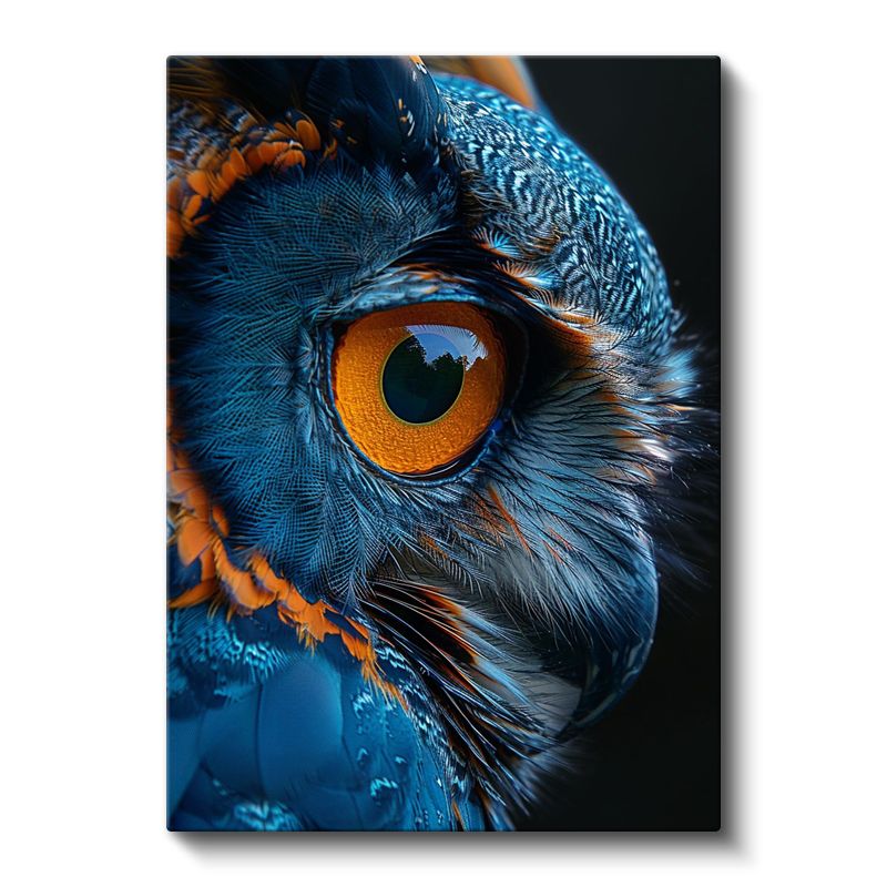 Baykuş Gözü - Mavi Turuncu Tüylerde Keskin Bakış Kanvas Tablo
