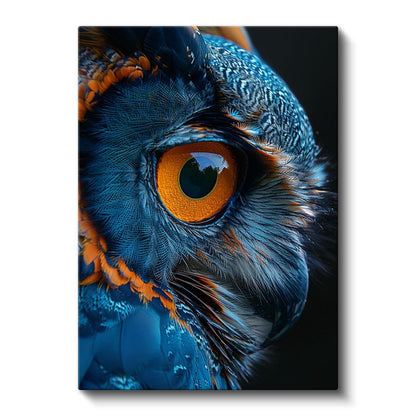 Baykuş Gözü - Mavi Turuncu Tüylerde Keskin Bakış Kanvas Tablo