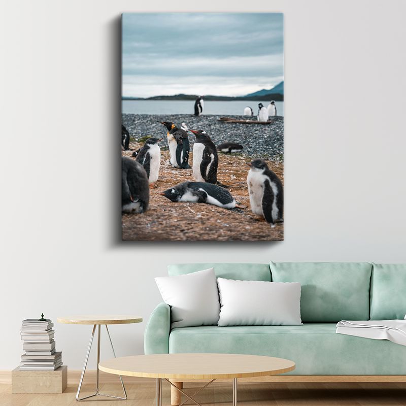 Penguen Kolonisi - Kıyıda Toplanan Siyah Beyaz Dostlar Kanvas Tablo
