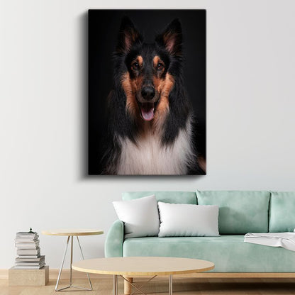 Collie Köpek - Siyah Zeminde Gülümseyen Sadık Dost Kanvas Tablo