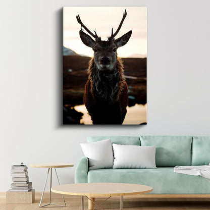 Geyik Portresi - Gün Batımında Heybetli Boynuzlar Kanvas Tablo