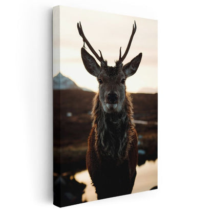 Geyik Portresi - Gün Batımında Heybetli Boynuzlar Kanvas Tablo